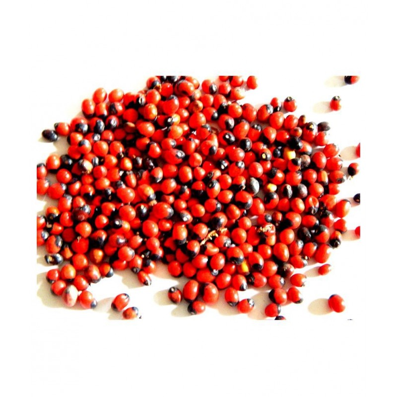 Urancia Lal Gunja Beads 108pcs Raw Herbs 1 gm