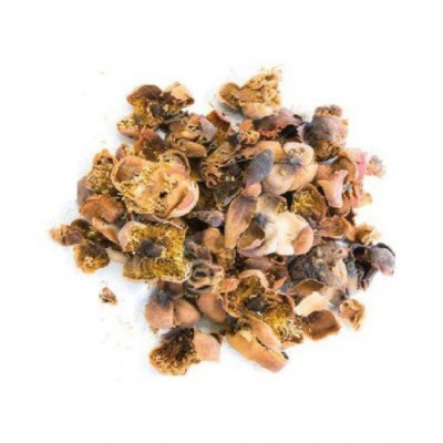 Urancia® Naga Kesar nagakesara Nag Kesar Mesua Ferrea 200 GMS for Pooja