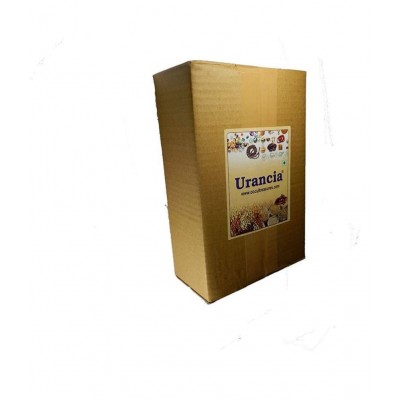 Urancia® organic putrajeevak seed or putrajivak beej 250grams for Pooja