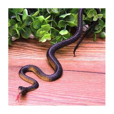 VEDO toys & gifts realistic rubber snakes prank toy(Pack of 2)