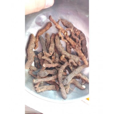 VINARGHYA Anjbar Root / Anjwar / Alpine Bistort / Knotgrass / Bannalia / Bijband 100 gm