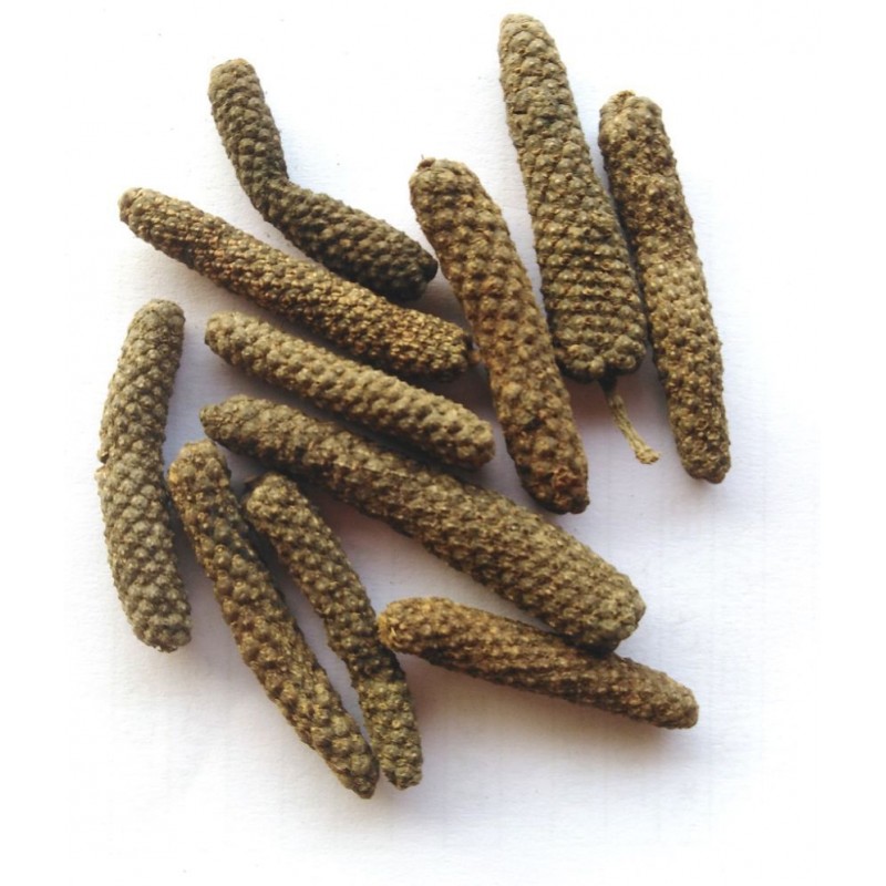 VINARGHYA Badi Pipali / Lendi Pipal / Lindi Pimpli / Long Pepper / Piper 100 gm