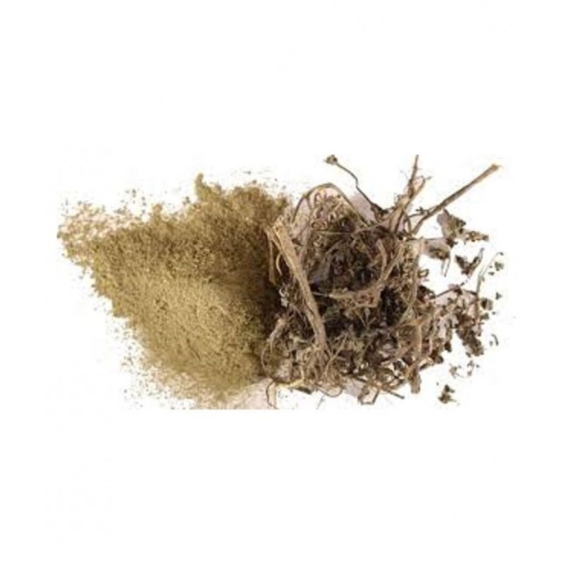 VINARGHYA Bhringraj / Kehraj / Kesharaj Powder 100 gm Pack Of 1
