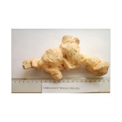 VINARGHYA CHOPCHINI / MADHUSNUHI / CHINA ROOT Powder 100 gm Pack Of 1