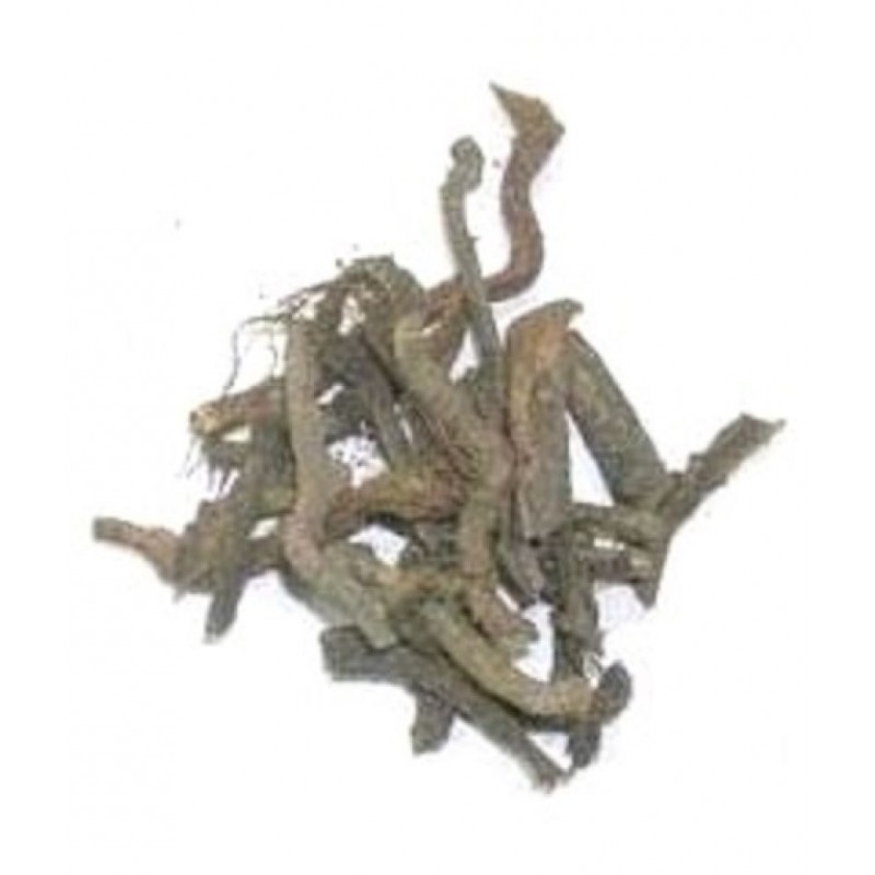 VINARGHYA Danti Mool / Dante Mul / Dantika Raw Herbs 100 gm Pack Of 1