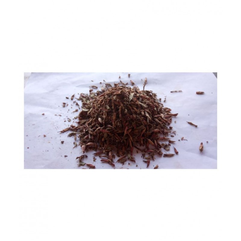 VINARGHYA Dhavati Phool / धावटी  फूल – 100g Raw Herbs 100 gm Pack Of 1