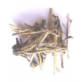 VINARGHYA Gaojaban / Gojivha / Cow’s Tongue Raw Herbs 100 gm Pack Of 1