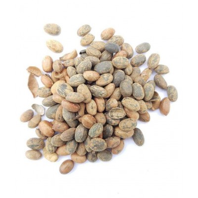 VINARGHYA Jamalgota / Croton Tiglium /Japalbij Raw Herbs 50 gm Pack Of 1