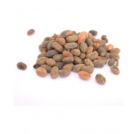 VINARGHYA Jamalgota / Croton Tiglium /Japalbij Raw Herbs 50 gm Pack Of 1
