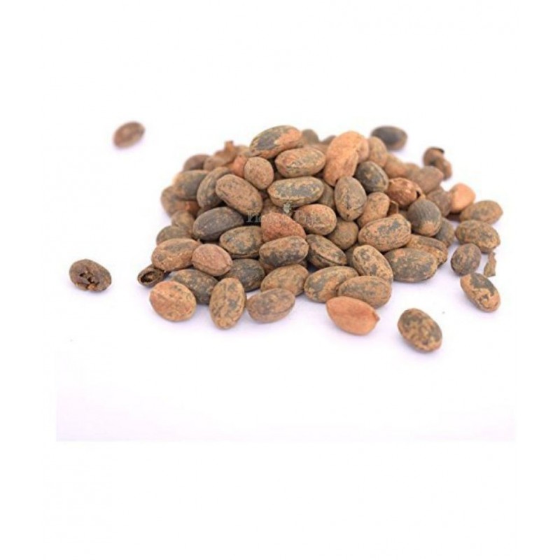 VINARGHYA Jamalgota / Croton Tiglium /Japalbij Raw Herbs 50 gm Pack Of 1