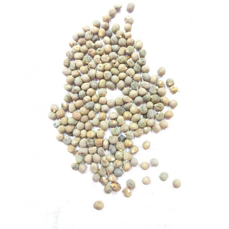 VINARGHYA Jangali Bhendi Bij / Jangli Bhindi Beej / Bende / Bhende / Raan Bhendi 100 gm
