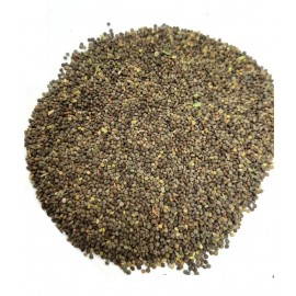 VINARGHYA Khurasani Ajwain / Khorasani Ajwan / Khurasanee ajma / Ajmo / Ova 100 gm