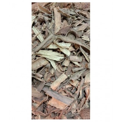 VINARGHYA Kuda Chhal / Kutaja / Conessi / Kurchi Raw Herbs 100 gm Pack Of 1