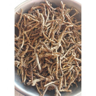 VINARGHYA Kutki Herbs / Kutaki Jad / Katukaa / Katurohini / Picrorhiza root 50 gm