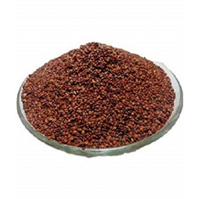 VINARGHYA Lajwanti Beej / Chui Mui Bij / Mimosa Punica Seed / Lajjalu 100 gm