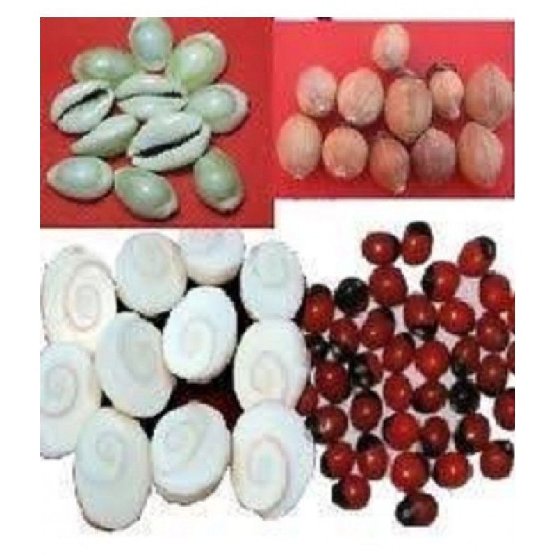 VINARGHYA Mahalakshmi Kit (Gomti, Gunja, Cowrie, Kamal, Dev Shriphal) Laxmi Puja 55 no.s