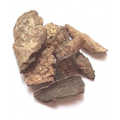 VINARGHYA Maida Lakadi / Chandana / Maeda Lakari Raw Herbs 100 gm Pack Of 1 VINARGHYA Maida Lakadi / Chandana / Maeda Lakari Raw Herbs 100 gm Pack Of 1