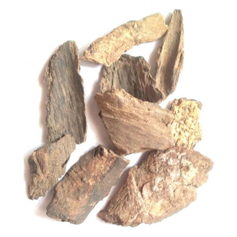 VINARGHYA Maida Lakadi / Chandana / Maeda Lakari Raw Herbs 100 gm Pack Of 1 VINARGHYA Maida Lakadi / Chandana / Maeda Lakari Raw Herbs 100 gm Pack Of 1