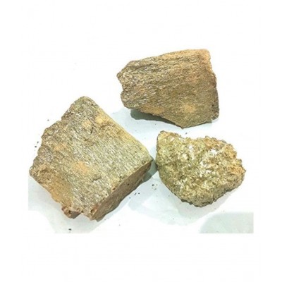 VINARGHYA Murdad Sing / Murdasingh / Murdar Singh Raw Herbs 50 gm Pack Of 1