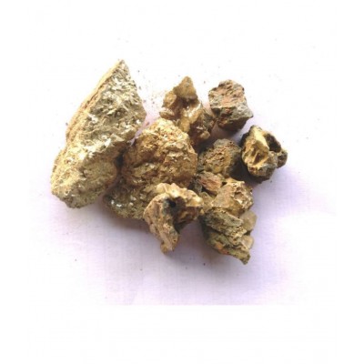 VINARGHYA Murdad Sing / Murdasingh / Murdar Singh Raw Herbs 50 gm Pack Of 1