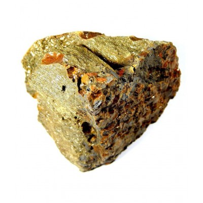 VINARGHYA Murdad Sing / Murdasingh / Murdar Singh Raw Herbs 50 gm Pack Of 1