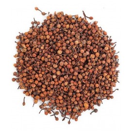 VINARGHYA Nagkesar Lal / Mesua Red / Nagapushpa / Hema / Gajakesara / Nageshvar 100 gm