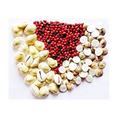 VINARGHYA Natural Rare Gomati Chakra 11 / Gunja 51 / Kaudi for Lakshmi & Vastu 73 no.s Pack of 3