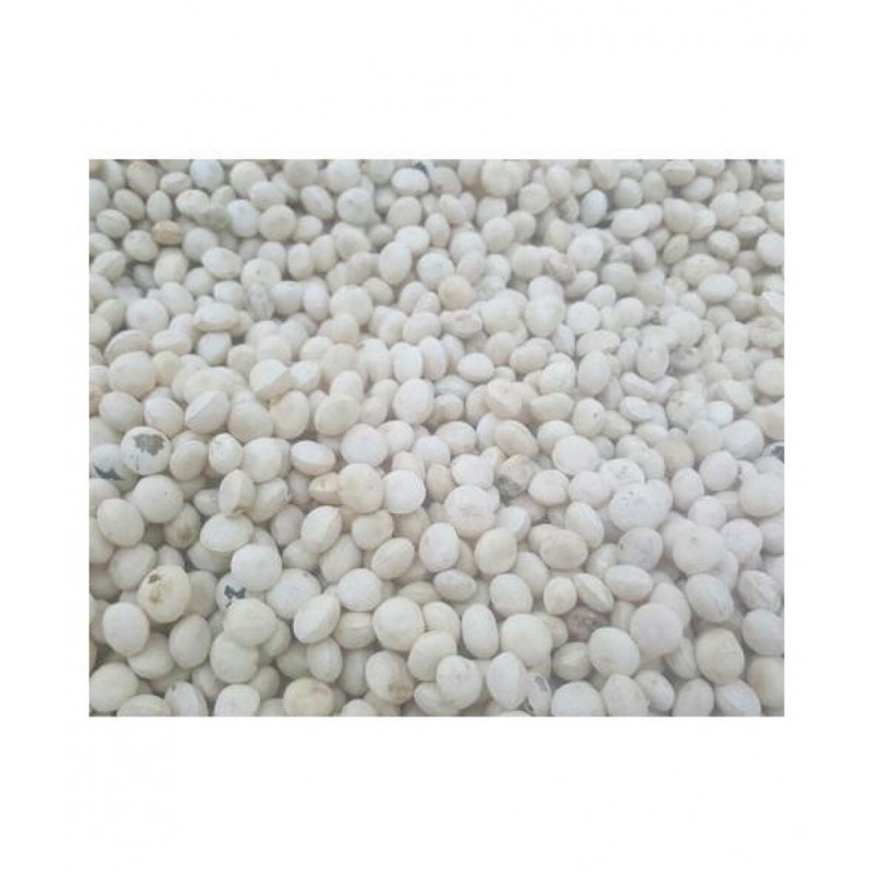 VINARGHYA Nirmali / Neimal / Kataka / Chilla Raw Herbs 100 gm Pack Of 1
