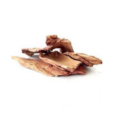 VINARGHYA PHARMACEUTICALS ARJUN CHHAL / BARK / TERMINALIA ARJUNA Powder 100 gm Pack Of 1