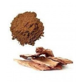VINARGHYA PHARMACEUTICALS ARJUN CHHAL / BARK / TERMINALIA ARJUNA Powder 100 gm Pack Of 1