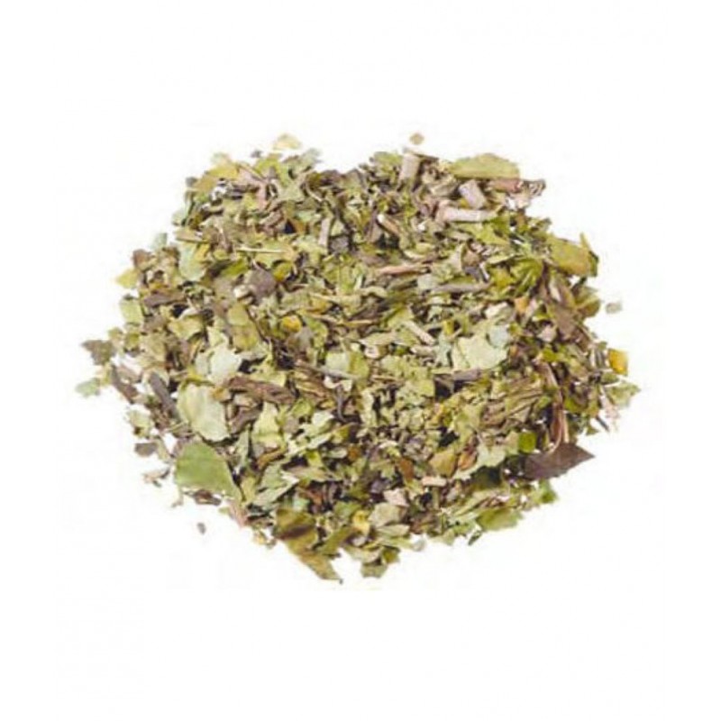 VINARGHYA PHARMACEUTICALS Adulsa / Vasaka / Adosa / अडुलसा Raw Herbs 100 gm Pack Of 1
