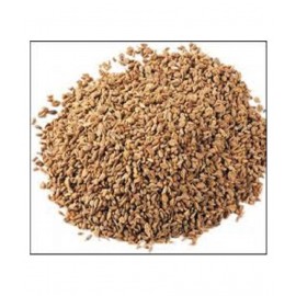 VINARGHYA PHARMACEUTICALS Ajamoda / Apium Graveolens / Ajmuda Raw Herbs 100 gm Pack Of 1
