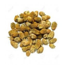VINARGHYA PHARMACEUTICALS Akkalkada / Akkalgaro Raw Herbs 100 gm Pack Of 1