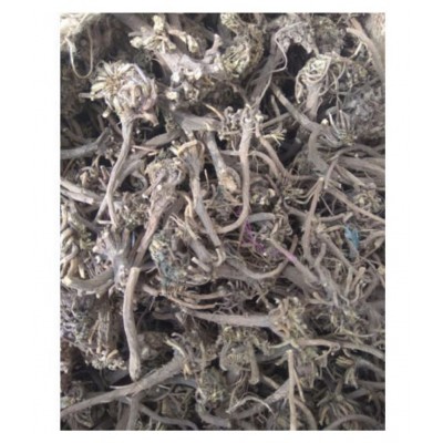 VINARGHYA PHARMACEUTICALS Akkalkada Jad / Akkalkaro Raw Herbs 100 gm Pack Of 1