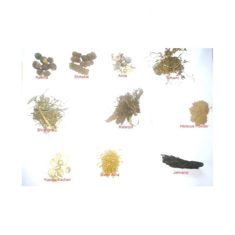 VINARGHYA PHARMACEUTICALS All in one hair Care Pack ayurvedic Paste 450 gm Pack Of 1