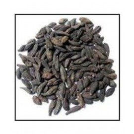 VINARGHYA PHARMACEUTICALS BAL HARADA / CHOTI HARADA / HARITAKI Raw Herbs 100 gm Pack Of 1