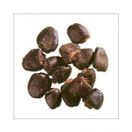 VINARGHYA PHARMACEUTICALS BHILAWA / BHILAWAN / BIBBA / BHALA Raw Herbs 100 gm Pack Of 1