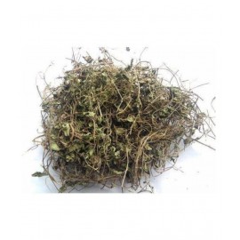 VINARGHYA PHARMACEUTICALS BRAHMMI / BACOPA MONNIERI /  NEER BRAHMI Raw Herbs 100 gm Pack Of 1