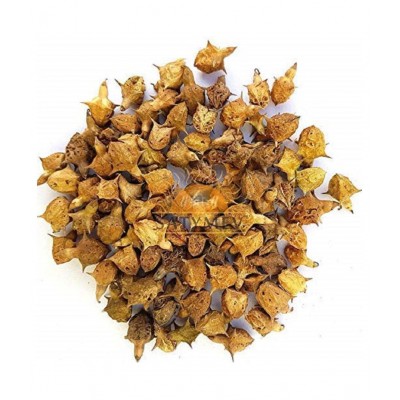 VINARGHYA PHARMACEUTICALS Bada Gokhru / Brihat Gokshru  Trikantaka Raw Herbs 100 gm Pack Of 1