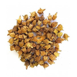 VINARGHYA PHARMACEUTICALS Bada Gokhru / Brihat Gokshru  Trikantaka Raw Herbs 100 gm Pack Of 1