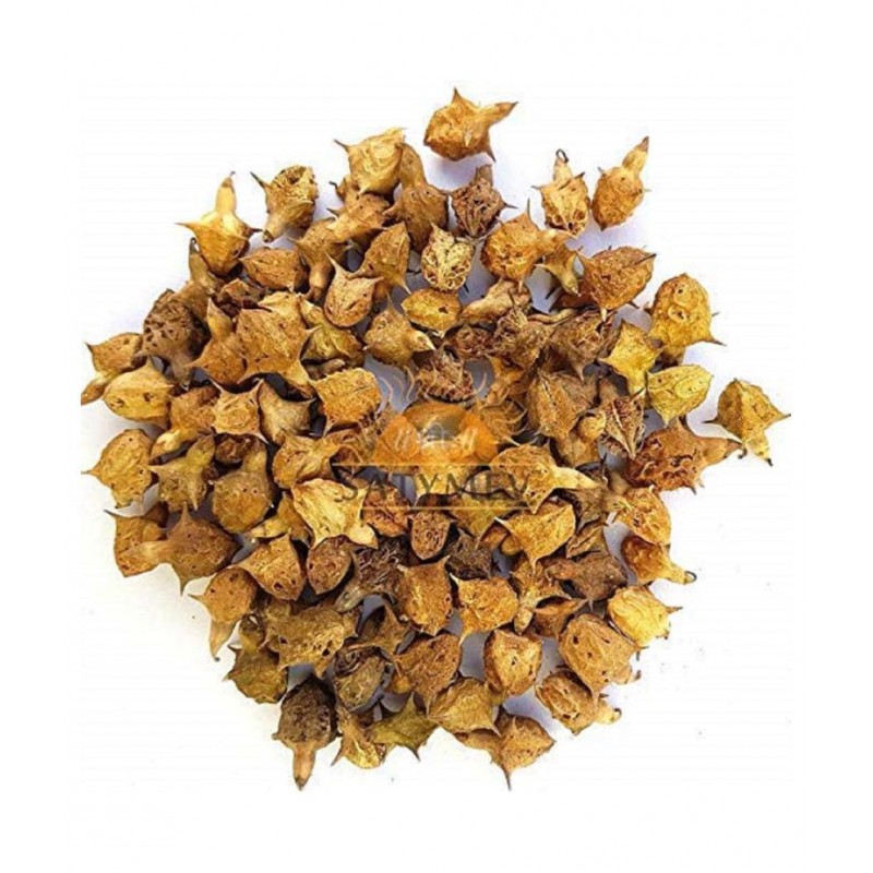 VINARGHYA PHARMACEUTICALS Bada Gokhru / Brihat Gokshru  Trikantaka Raw Herbs 100 gm Pack Of 1