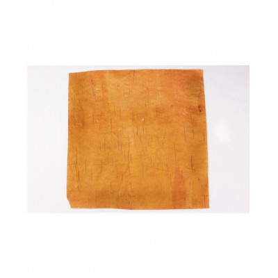 VINARGHYA PHARMACEUTICALS Betula Utilis / Bhojpatra / Bhurj Raw Herbs 5 no.s Pack Of 1