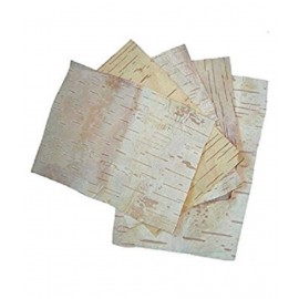 VINARGHYA PHARMACEUTICALS Betula Utilis / Bhojpatra / Bhurj Raw Herbs 5 no.s Pack Of 1