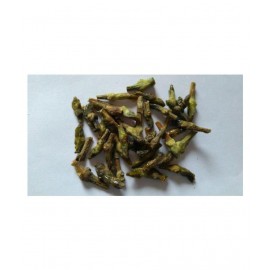 VINARGHYA PHARMACEUTICALS Dikamali / Brilliant Gardenia / Dikamari Powder 100 gm Pack Of 1