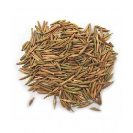 VINARGHYA PHARMACEUTICALS INDRAJAO / INDRAJAVA / DUDHALO / TIRAJ Raw Herbs 100 gm Pack Of 1