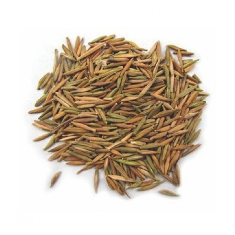 VINARGHYA PHARMACEUTICALS INDRAJAO / INDRAJAVA / DUDHALO / TIRAJ Raw Herbs 100 gm Pack Of 1