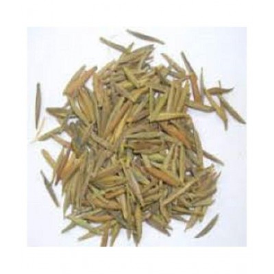 VINARGHYA PHARMACEUTICALS INDRAJAO / INDRAJAVA / DUDHALO / TIRAJ Raw Herbs 100 gm Pack Of 1