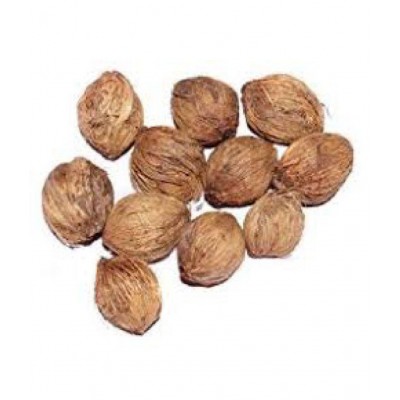 VINARGHYA PHARMACEUTICALS JANGALI NARIYAL / DEV / LAGHU SHRIFAL Raw Herbs 7 no.s Pack Of 1