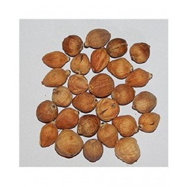 VINARGHYA PHARMACEUTICALS JANGALI NARIYAL / DEV / LAGHU SHRIFAL Raw Herbs 7 no.s Pack Of 1