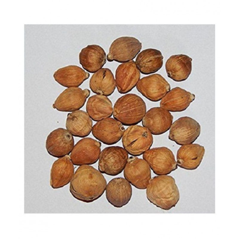 VINARGHYA PHARMACEUTICALS JANGALI NARIYAL / DEV / LAGHU SHRIFAL Raw Herbs 7 no.s Pack Of 1
